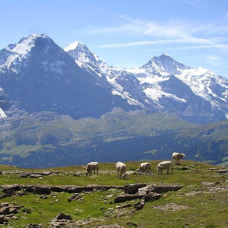 Beim See Grindelwald Eksteriør bilde