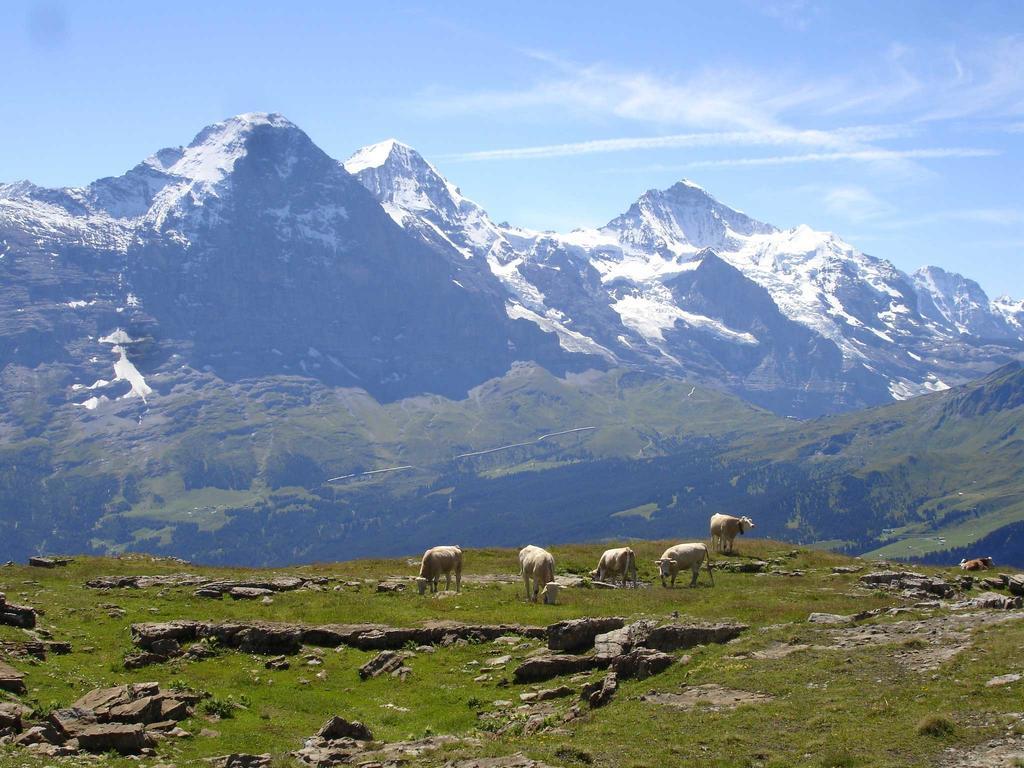 Beim See Grindelwald Eksteriør bilde