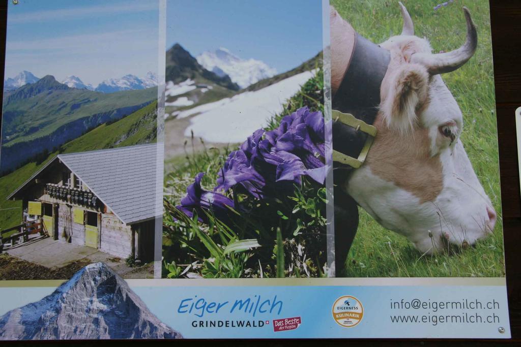 Beim See Grindelwald Eksteriør bilde